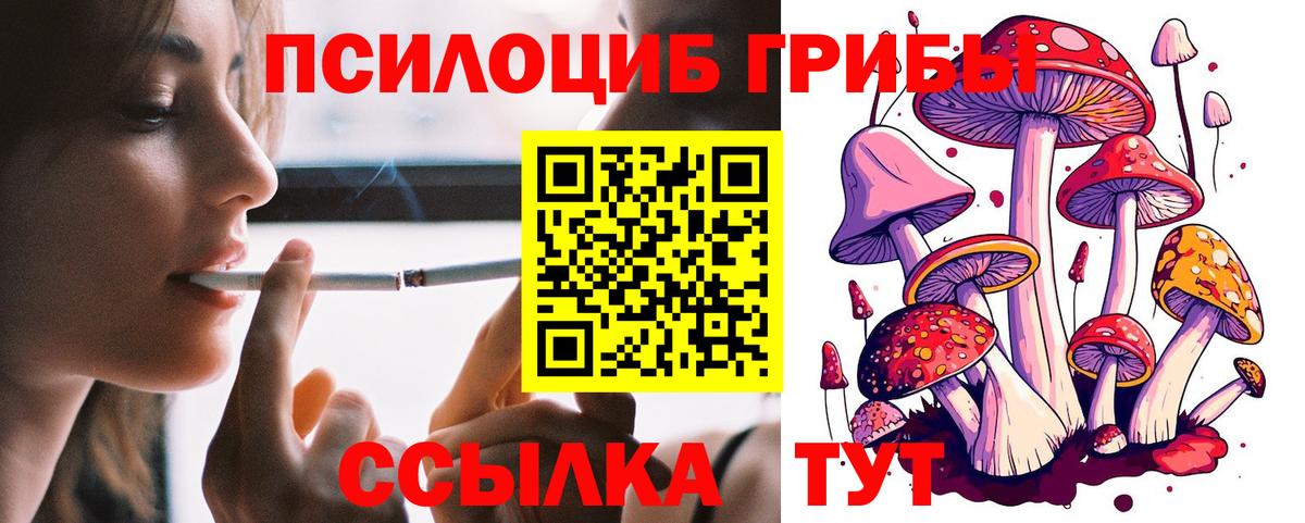 Псилоцибиновые грибы Psilocybe Острогожск